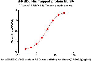 ELISA plate pre-coated by 2 μg/mL (100 μL/well)  S-RBD, His tagged protein can bind Anti-SARS-CoV Neutralizing antibody(CR3022) in a linear range of 0. (Recombinant SARS-CoV-2 Spike 抗体)