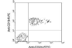 Flow Cytometry (FACS) image for anti-CD24 Molecule (CD24) antibody (FITC) (ABIN371111) (CD24 抗体  (FITC))