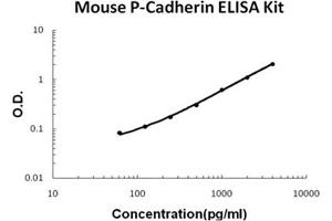 Mouse P-Cadherin Accusignal ELISA Kit Mouse P-Cadherin AccuSignal ELISA Kit standard curve. (P-Cadherin ELISA 试剂盒)