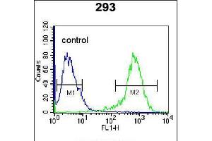 Flow cytometric analysis of 293 cells (right histogram) compared to a negative control cell (left histogram). (CDK8 抗体  (AA 249-277))