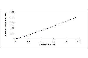 Typical standard curve (CCL4 ELISA 试剂盒)