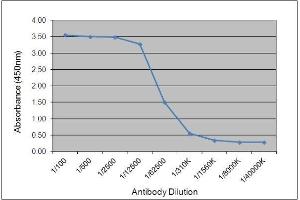 ELISA image for Mouse anti-Chicken IgY antibody (ABIN2481217) (小鼠 anti-小鸡 IgY Antibody)