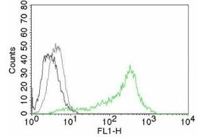 Flow cytometry testing of 293T cells. (Nucleolin 抗体)