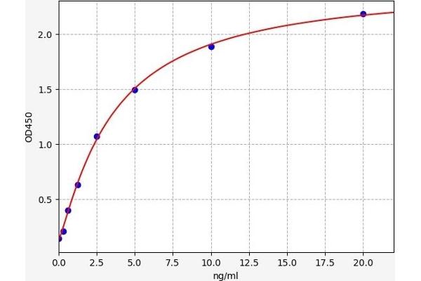 SLC5A5 ELISA 试剂盒