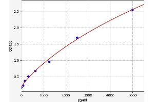 Typical standard curve (PLC beta ELISA 试剂盒)