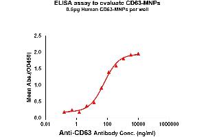 CD63 Protein (CD63)