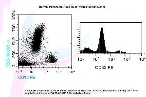 Image no. 1 for anti-CD33 (CD33) antibody (PE) (ABIN1112118) (CD33 抗体  (PE))