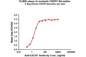 Elisa plates were pre-coated with Flag Tag C-Nanodisc (0. (CXCR1 蛋白)