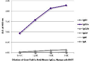 ELISA image for Goat anti-Mouse IgG2a antibody (Biotin) - Preadsorbed (ABIN375920)