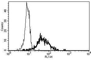 A typical staining pattern with the B-F10 monoclonal antibody of monocytes (CD13 抗体)