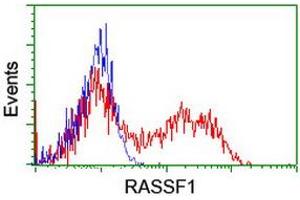 Flow Cytometry (FACS) image for anti-Ras Association (RalGDS/AF-6) Domain Family Member 1 (RASSF1) (AA 1-341) antibody (ABIN1490755) (RASSF1 抗体  (AA 1-341))