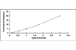 Typical standard curve (Caspase 8 ELISA 试剂盒)