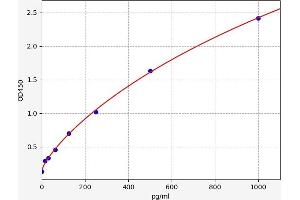 PKC ELISA 试剂盒