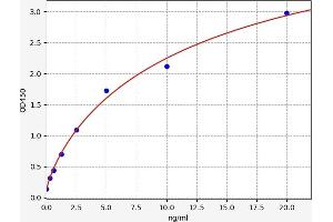 Typical standard curve (NKX2-1 ELISA 试剂盒)