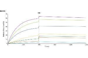 Surface Plasmon Resonance (SPR) image for CLDN18.2 protein (ABIN7491593)