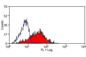 Flow Cytometry (FACS) image for anti-Talin (TLN) antibody (ABIN2476676) (Talin 抗体)