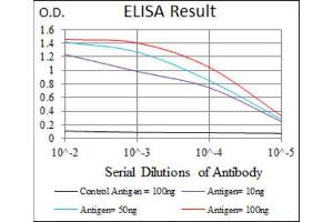 ELISA image for anti-Alkaline Phosphatase, Liver/bone/kidney (ALPL) antibody (ABIN1845845) (ALPL 抗体)