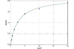 A typical standard curve (RNASET2 ELISA 试剂盒)