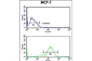 Flow cytometry analysis of MCF-7 cells (bottom histogram) compared to a negative control cell (top histogram). (IL-10RA 抗体  (AA 147-175))