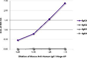 ELISA plate was coated with purified human IgG1, IgG2, IgG3, and IgG4. (小鼠 anti-人 IgG1 (Hinge Region) Antibody (Alkaline Phosphatase (AP)))