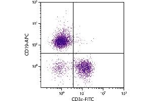 BALB/c mouse splenocytes were stained with Mouse Anti-Mouse CD19-APC. (CD19 抗体  (Biotin))