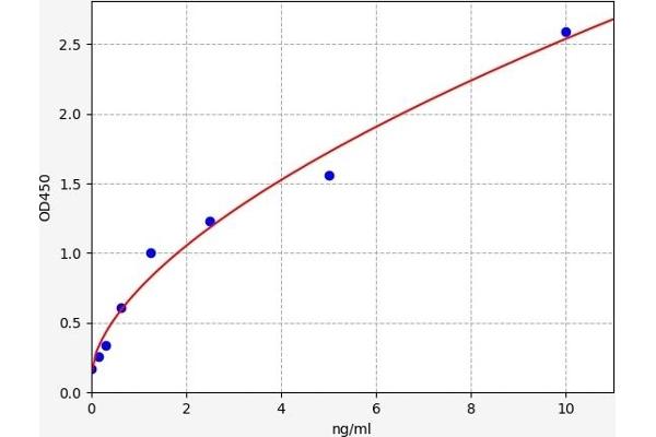 Enkephalin ELISA 试剂盒