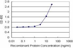 Sandwich ELISA detection sensitivity ranging from 1 ng/mL to 100 ng/mL. (IFITM3 (人) Matched Antibody Pair)