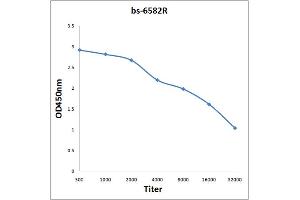 Antigen: 0. (RNA Polymerase 2 (pSer5) 抗体)