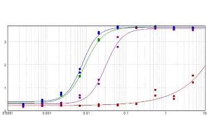 ELISA results of purified Goat F(ab')2 Anti-MOUSE IgG F(c) Antibody Biotin Conjugated Min X Bv Hs & Hu Serum Proteins tested against purified Mouse IgG F(c) (Green Line). (山羊 anti-小鼠 IgG (Fc Region) Antibody (Biotin) - Preadsorbed)