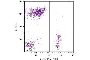 Human peripheral blood lymphocytes were stained with Mouse Anti-Human CD19-PE/TXRD. (CD19 抗体  (PE,Texas Red (TR)))