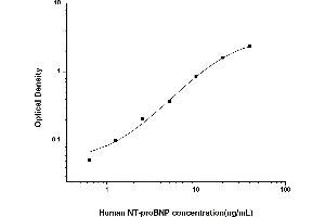 Typical standard curve (NT-ProBNP ELISA 试剂盒)