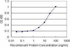 Sandwich ELISA detection sensitivity ranging from 0. (ARHGDIA (人) Matched Antibody Pair)