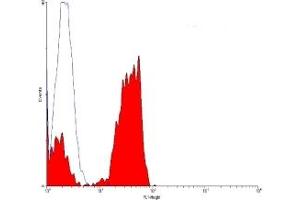 ABIN119501 staining lymphocytes. (CD2 抗体  (FITC))