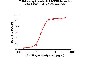 Elisa plates were pre-coated with Flag Tag PT-Nanodisc (0. (Prostaglandin D2 Receptor 2 (PTGDR2) 蛋白)
