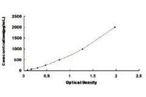 ELISA image for Eosinophil Chemotactic Factor (ECF) ELISA Kit (ABIN416306) (ECF ELISA 试剂盒)