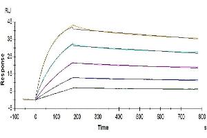 Surface Plasmon Resonance (SPR) image for Interleukin 17 Receptor B (IL17RB) (AA 18-292) protein (His tag) (ABIN7274891)