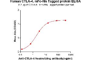 ELISA image for Cytotoxic T-Lymphocyte-Associated Protein 4 (CTLA4) (AA 36-161) protein (mFc-His Tag) (ABIN6961090)