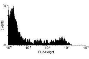 Flow Cytometry (FACS) image for anti-CD8b Molecule (CD8B) antibody (PE) (ABIN2472576) (CD8B 抗体  (PE))