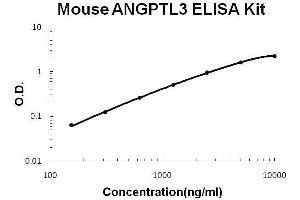 Mouse ANGPTL3 PicoKine ELISA Kit standard curve (ANGPTL3 ELISA 试剂盒)