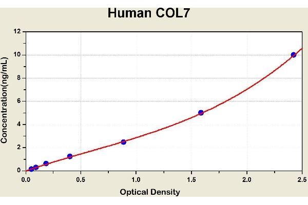 COL7A1 ELISA 试剂盒