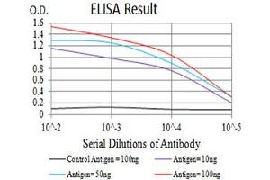 Black line: Control Antigen (100 ng),Purple line: Antigen (10 ng), Blue line: Antigen (50 ng), Red line:Antigen (100 ng) (SIRPA 抗体  (AA 235-373))