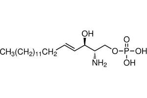 Molecule (M) image for Sphingosine-1-phosphate, D-erythro (ABIN5022245)