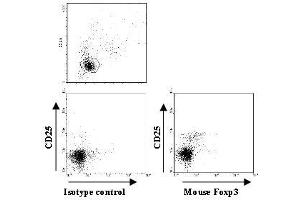 Flow Cytometry (FACS) image for anti-Forkhead Box P3 (FOXP3) antibody (Biotin) (ABIN2853612) (FOXP3 抗体  (Biotin))