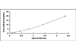 Typical standard curve (ADAMTS4 ELISA 试剂盒)