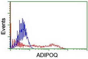 HEK293T cells transfected with either RC215161 overexpress plasmid (Red) or empty vector control plasmid (Blue) were immunostained by anti-ADIPOQ antibody (ABIN2455281), and then analyzed by flow cytometry. (ADIPOQ 抗体  (AA 19-244))