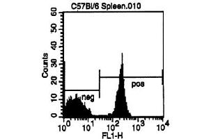 Cell Source: CD3e Positive Spleen Cells Percentage of cells stained above control: 52. (CD4 抗体  (FITC))