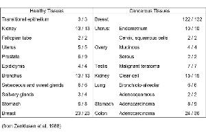 Table 1. (Mucin-Like Carcinoma Antigen (MCA) 抗体)