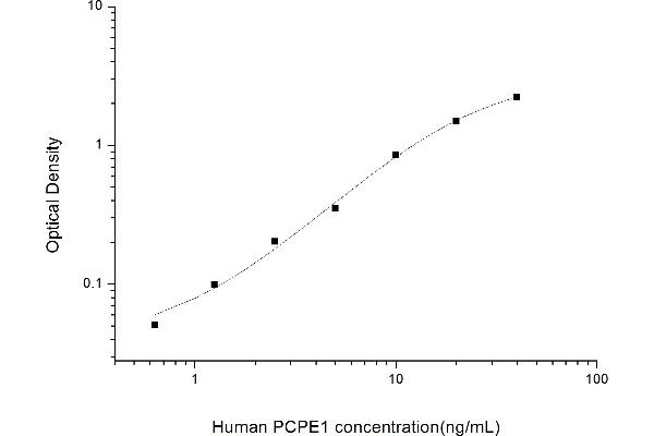 PCOLCE ELISA 试剂盒