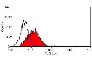 Flow Cytometry (FACS) image for anti-Jagged 2 (JAG2) antibody (ABIN2475163) (JAG2 抗体)