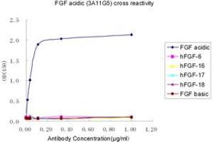 Image no. 2 for anti-FGF acidic antibody (ABIN1574161) (FGF acidic 抗体)